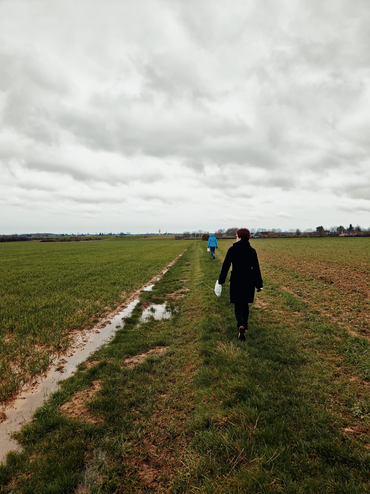 WhatsApp Image 2024-03-02 at 15.48.11