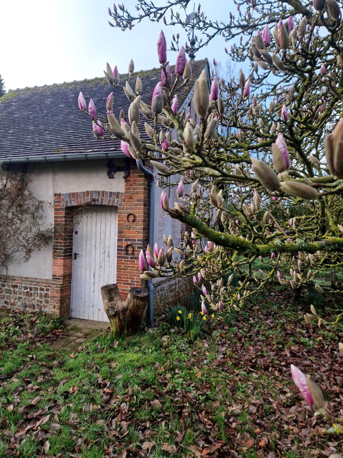 WhatsApp Image 2024-03-03 at 08.39.30